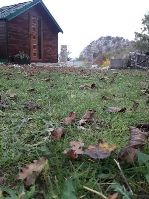 a pile of leaves on the grass in front of a house at Livari Viewpoint in Livari