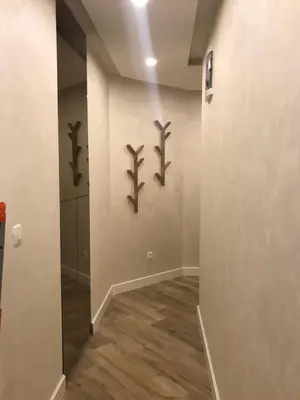 a hallway with three birds on the wall at Butterfly Apartman in Rafailovici