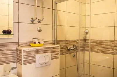 a bathroom with a shower with a toilet and a sink at Apartments Vojislav in Virpazar