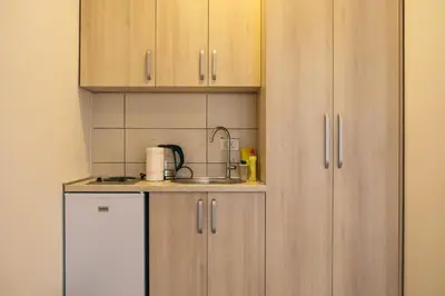 a small kitchen with wooden cabinets and a sink at Apartments Vojislav in Virpazar