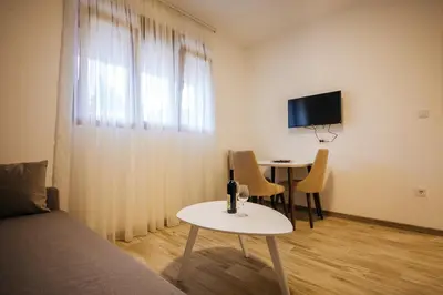 a living room with a couch and a table with a tv at Apartments Vojislav in Virpazar