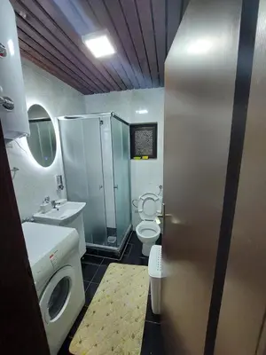 a small bathroom with a toilet and a sink at Holiday Home Milanovic in Cetinje