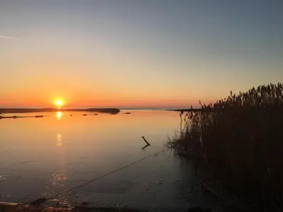 a bird walking across a body of water at sunset at Baraka in Ulcinj