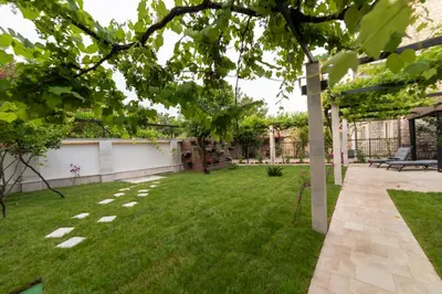 a garden with green grass and a tree at Apartments Trifunovic Old Town in Budva