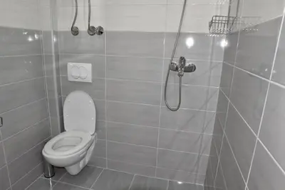 a bathroom with a toilet and a shower at Vila Cattleya in Donji Štoj