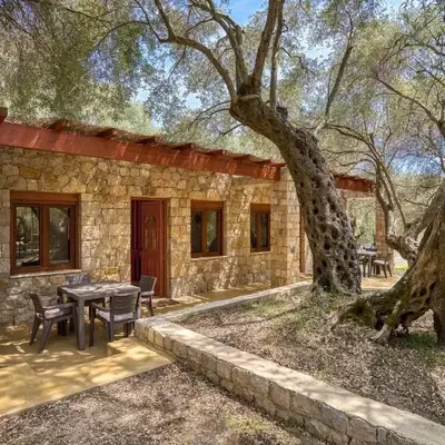 Stonehouse in Olives