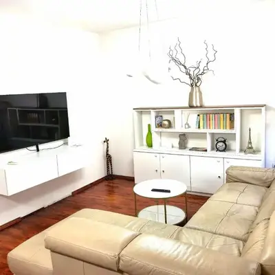 Luxury apartment Podgorica