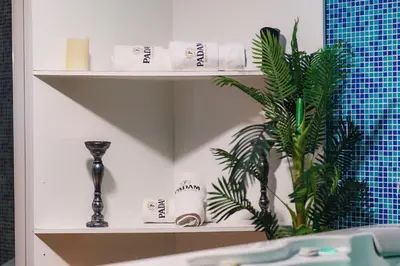 a shelf with towels and a plant in a bathroom at Padam Hotel & SPA in Ulcinj