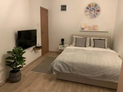 a bedroom with a bed and a flat screen tv at Apartment Jabucanin in Cetinje