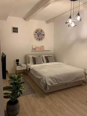 a bedroom with a bed and a potted plant at Apartment Jabucanin in Cetinje