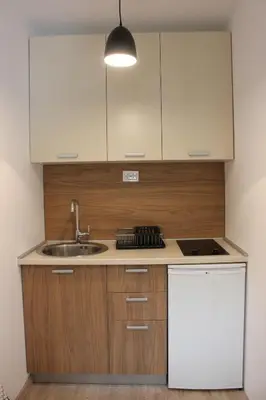 a kitchen with a sink and a white refrigerator at Apartment Jabucanin in Cetinje