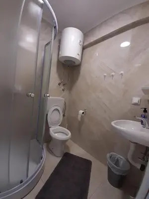 a bathroom with a shower and a toilet and a sink at Đuričić Apartmani in Budva