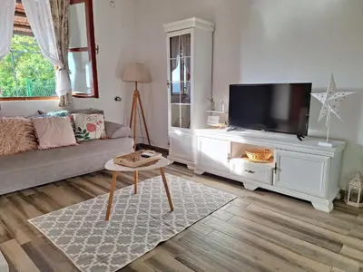 a living room with a couch and a flat screen tv at Banjo Rustic House Lake view in Virpazar