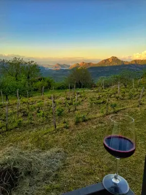 a glass of wine sitting on top of a hill at Banjo Rustic House Lake view in Virpazar