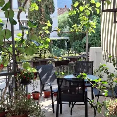 Kiwi Apartments Budva