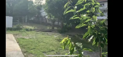 a view of a yard with green grass at Apartments Dibra in Ulcinj