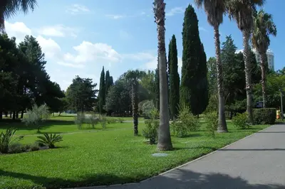 a park with palm trees and a sidewalk at Sunčani apartman 1-Vila Amfora in Budva