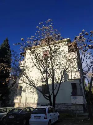 a white building with cars parked in front of it at Podgorica Center in Podgorica