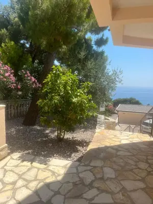 a tree in front of a house with a stone walkway at Villa Grand in Bar