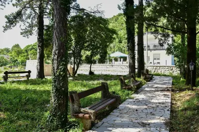 a row of benches in a park with trees at Apartments Nino Skadar lake in Virpazar