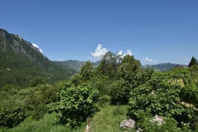 a view of a hill with trees and mountains at Rooms Sveti Toma in Virpazar