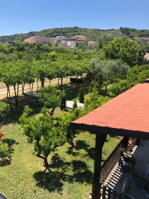 a view of a garden with trees and a roof at Stanovic Bungalow in Ulcinj