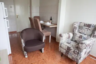 a living room with a chair at Apartman Preko Morace 2018 in Podgorica