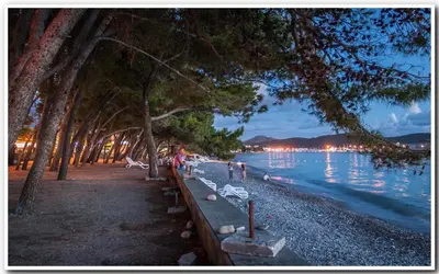 a beach with trees and the water at night at Luda kuća in Bar
