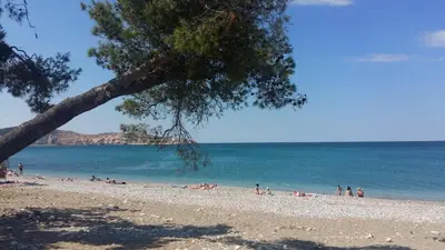a group of people on a beach near the water at Luda kuća in Bar