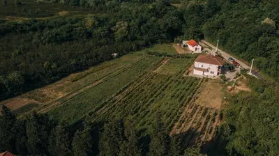 an aerial view of a house on a field at Apartment Majstorina in Virpazar