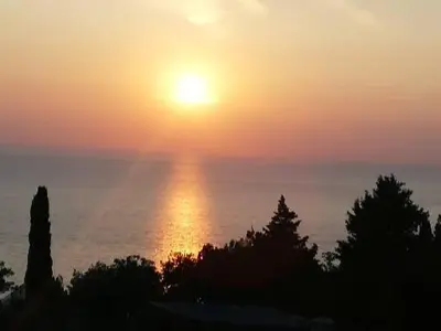 a sunset over the ocean with trees in the foreground at Dolores Apartments in Petrovac na Moru