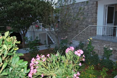 a garden with pink flowers in front of a house at Kod Nade in Petrovac na Moru