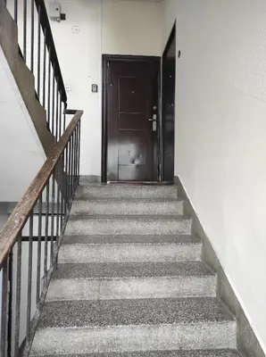 a stairway leading up to a brown door at Stan u centru in Podgorica