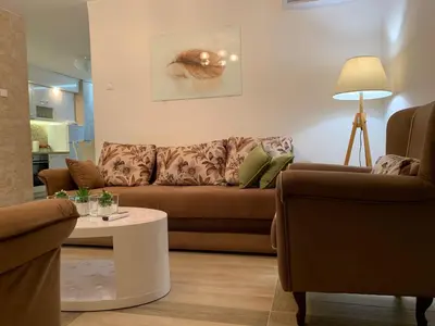 a living room with a brown couch and a table at Seahaven in Petrovac na Moru