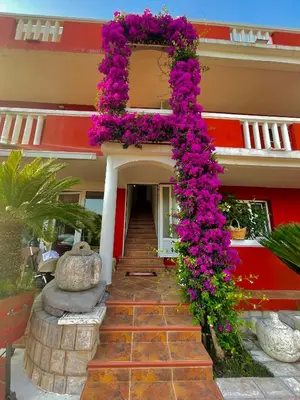 a building with a bunch of purple flowers on it at Vila L Budva in Budva