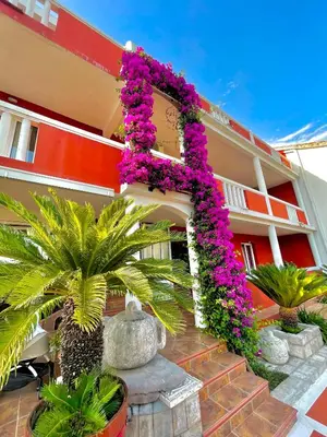 a building with purple flowers on the side of it at Vila L Budva in Budva