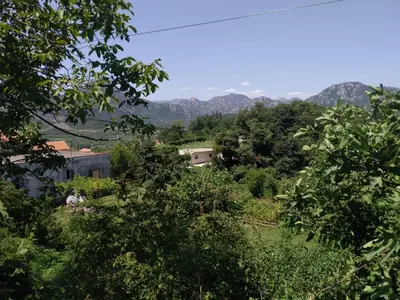 a view of a forest with mountains in the background at Take a Lake - Zabes, Virpazar in Virpazar