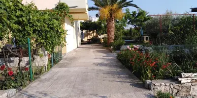 a walkway in a garden with a palm tree and flowers at Garden in Bar