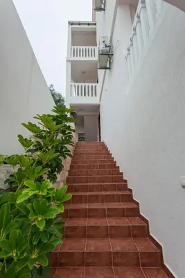a staircase leading up to a building with plants at Vila Vukotić in Petrovac na Moru