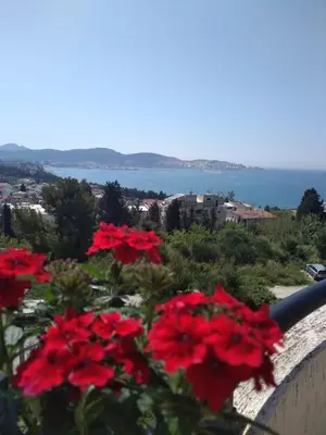 a group of red flowers on a wall with a view at Бар Шушань Апартаменты Главановича 25 in Bar