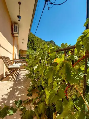 a bunch of grapes growing on a fence on a porch at Feel the village in Virpazar