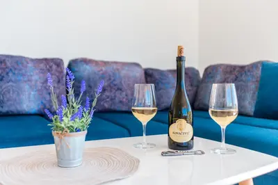 a bottle of wine and two glasses on a table at Dolaca Villas in Sutomore