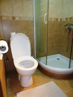 a bathroom with a toilet and a shower at Hotel Pelikan in Virpazar