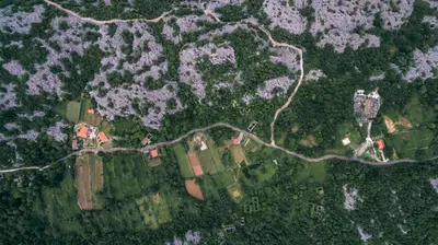 an overhead view of a house in a forest at Apartments EcoNature in Virpazar