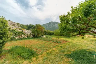a field with trees and a mountain in the background at Apartments EcoNature in Virpazar