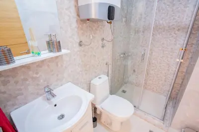 a bathroom with a toilet and a shower and a sink at Skadar Lake Apartment-Nikola in Podgorica