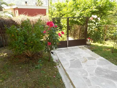 a garden with a gate and a bush with pink roses at Apartments Samardzic in Kotor