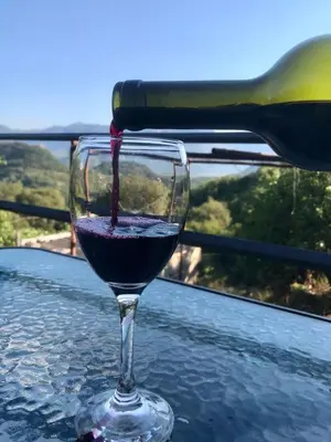 a wine glass sitting on a table with a bottle at Apartments Stella in Virpazar