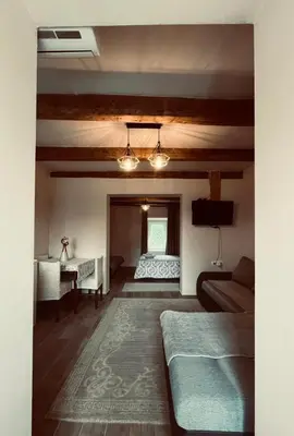 a living room with a bed and a couch at Apartments Stella in Virpazar