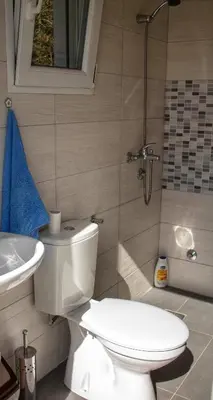 a bathroom with a toilet and a sink and a shower at Auto camp Radoman in Virpazar